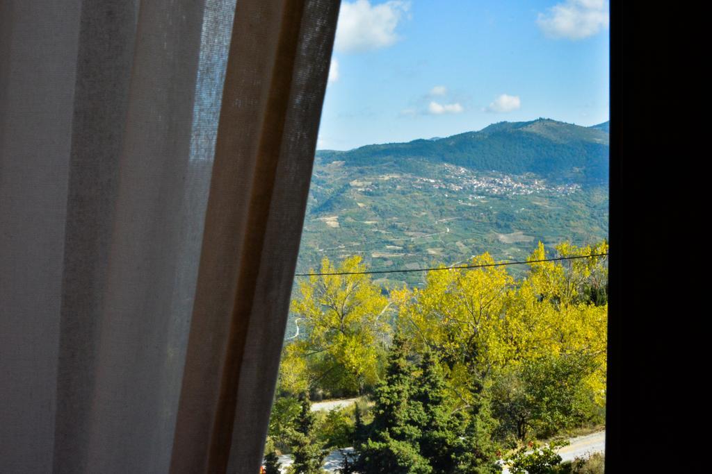 Nymfes Guesthouse Synikia Mesi Trikalon Cameră foto