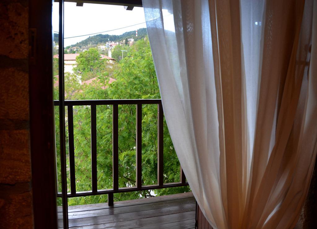 Nymfes Guesthouse Synikia Mesi Trikalon Cameră foto