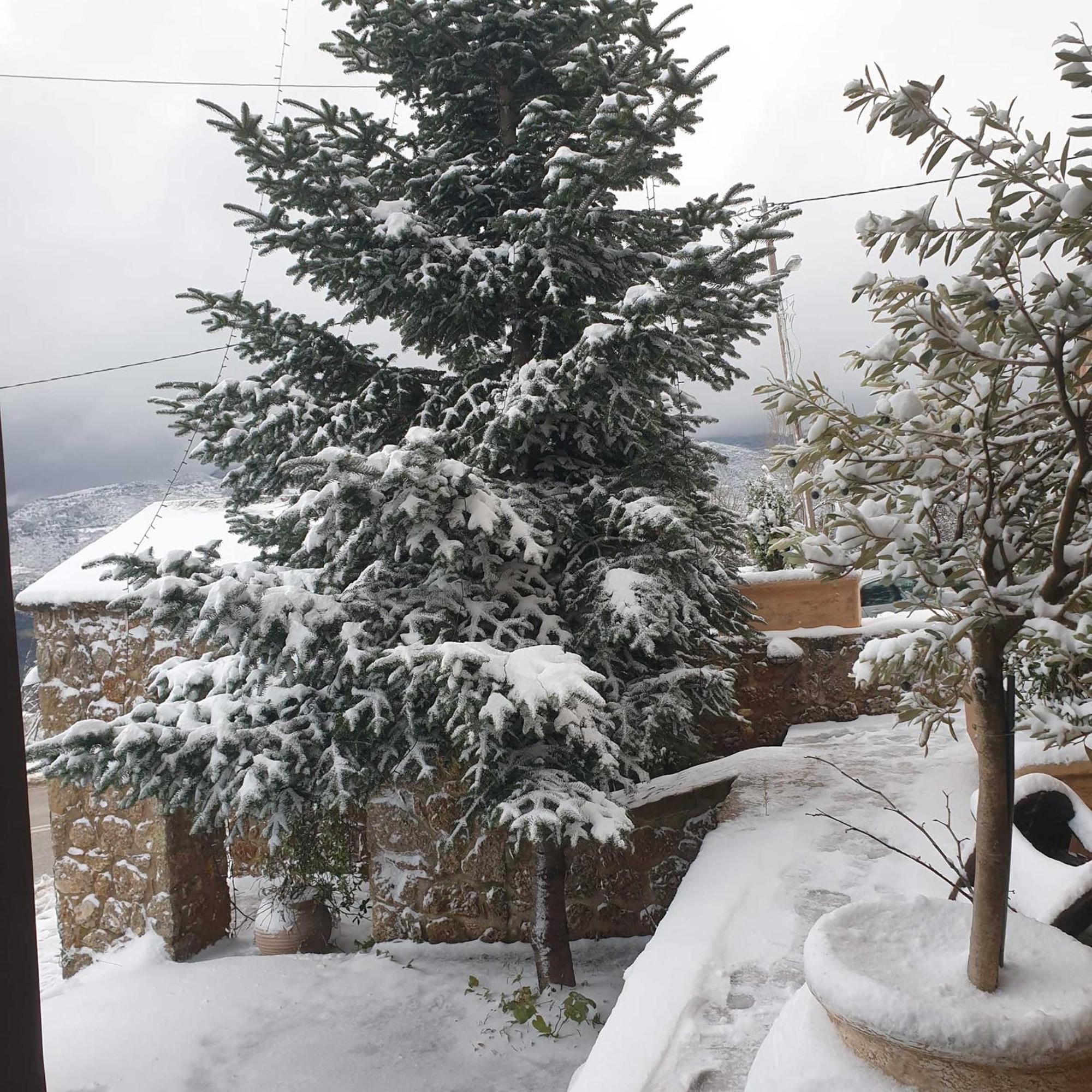 Nymfes Guesthouse Synikia Mesi Trikalon Exterior foto