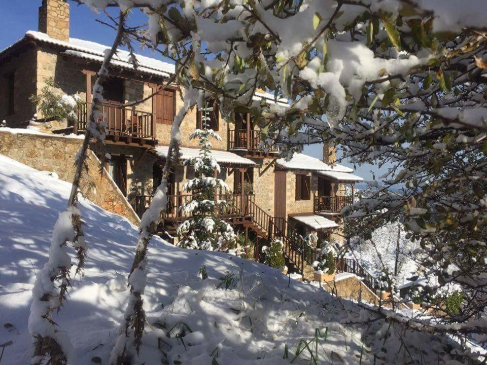 Nymfes Guesthouse Synikia Mesi Trikalon Exterior foto